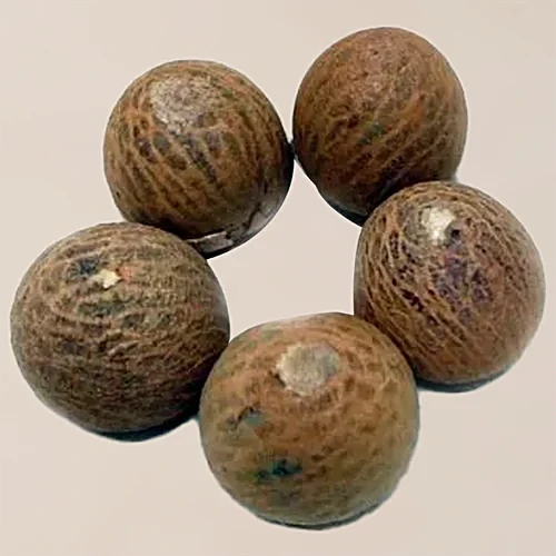 Betel Nut