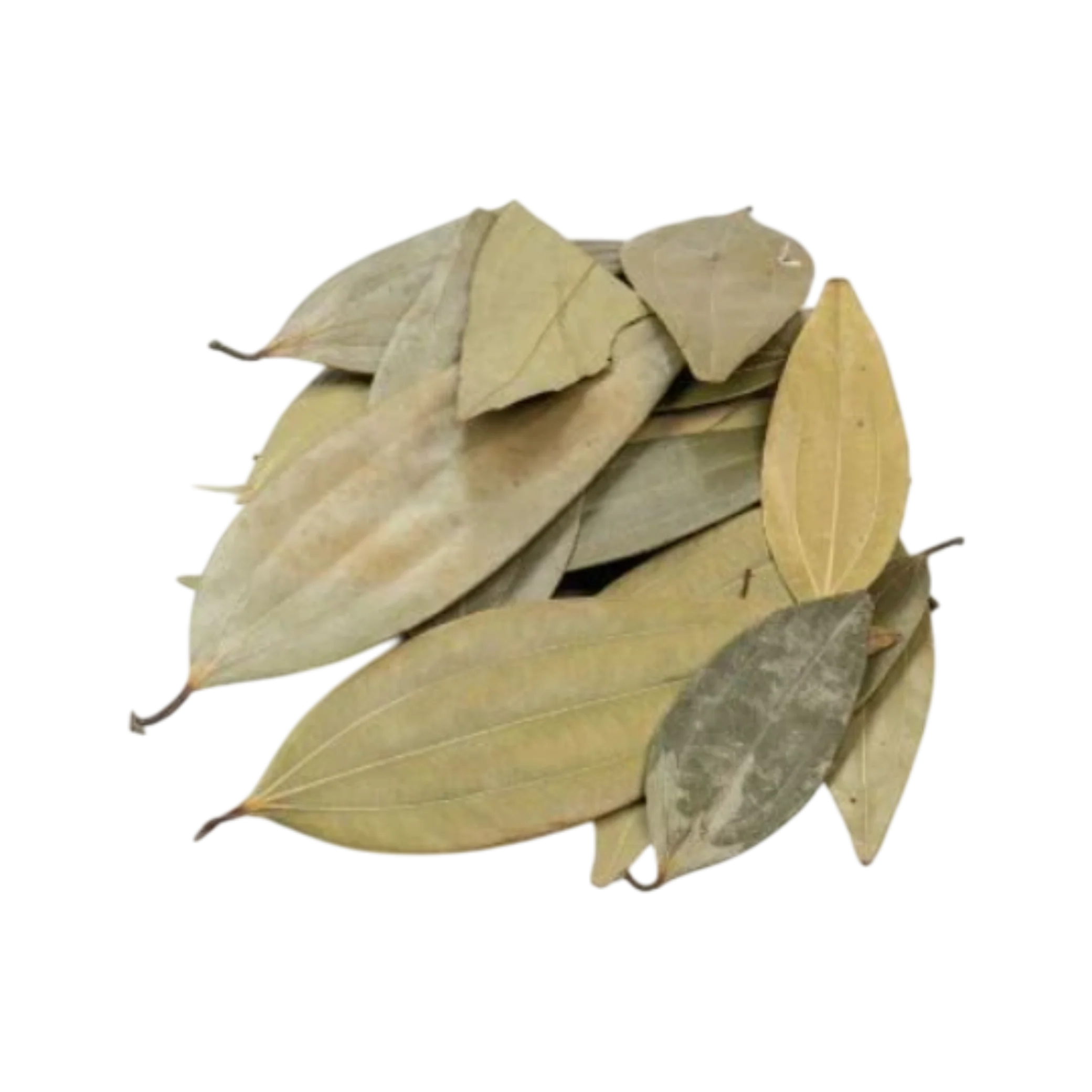 Bay Leaves