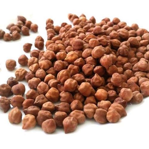 Black Channa